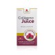 Colageno Juice Hyaluronic Snella 30 saches